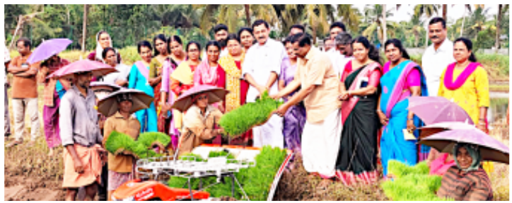 വീയപുരം വിത്തുൽപ്പാദന കേന്ദ്രത്തിൽ യന്ത്രമുപയോഗിച്ച് ഞാറുനടീൽ ജില്ലാ പഞ്ചായത്ത് പ്രസിഡന്റ്  എ മഹേന്ദ്രൻ ഉദ്ഘാടനംചെയ്യുന്നു