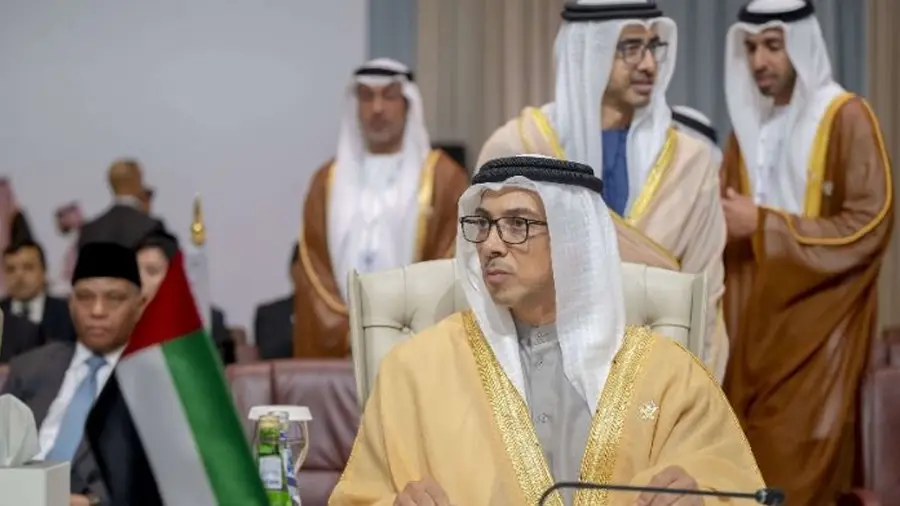 Sheikh Mansour bin Zayed Al Nahyan In Arab summit