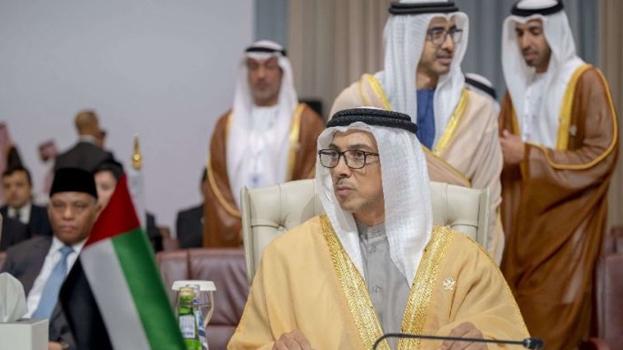 Sheikh Mansour bin Zayed Al Nahyan In Arab summit