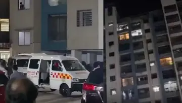 Siblings Suicide 