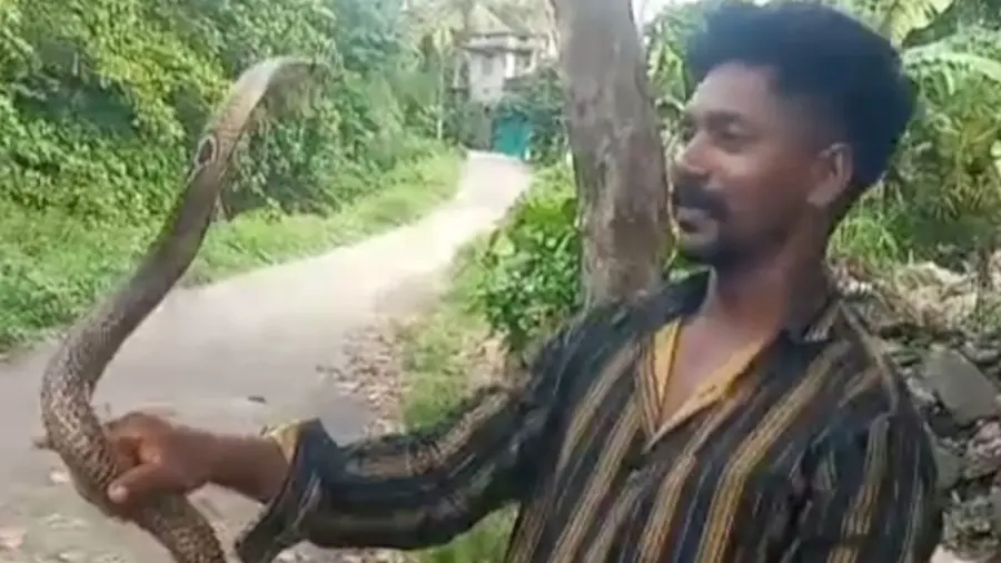 Snake Catcher Dies .jpg