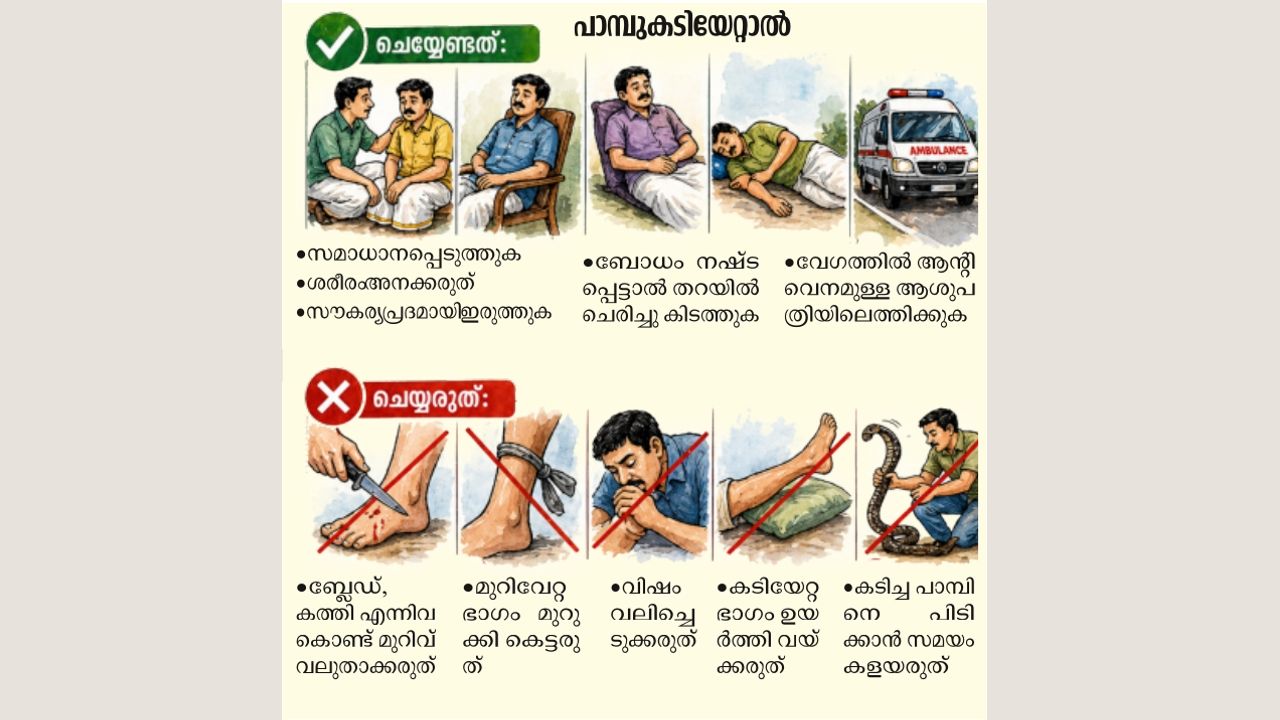 Snakebite Safety