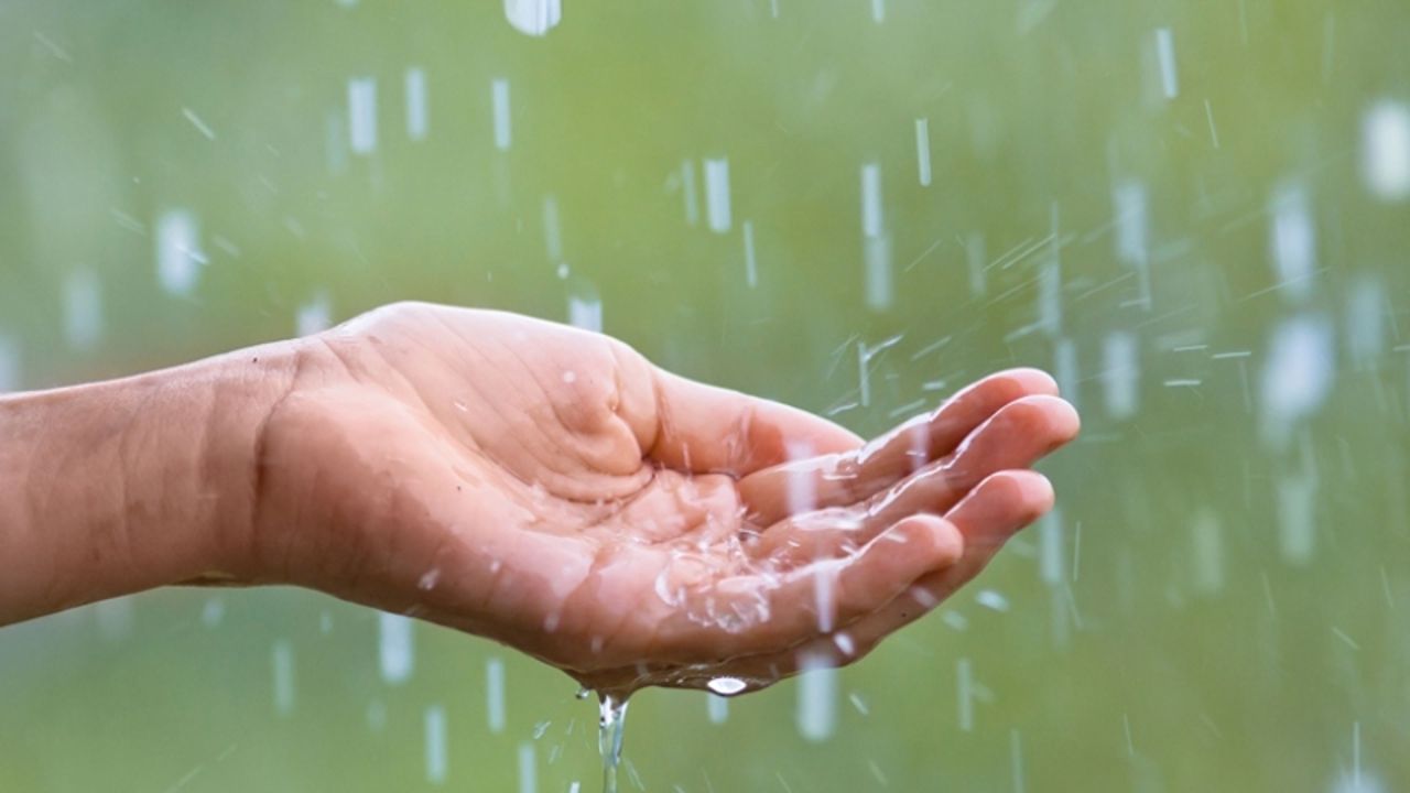 Summer Rain.jpg