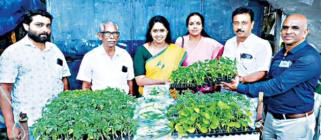 District General Secretary Soumyaraj inaugurates the distribution of vegetable seedlings and seeds organized by KORVA