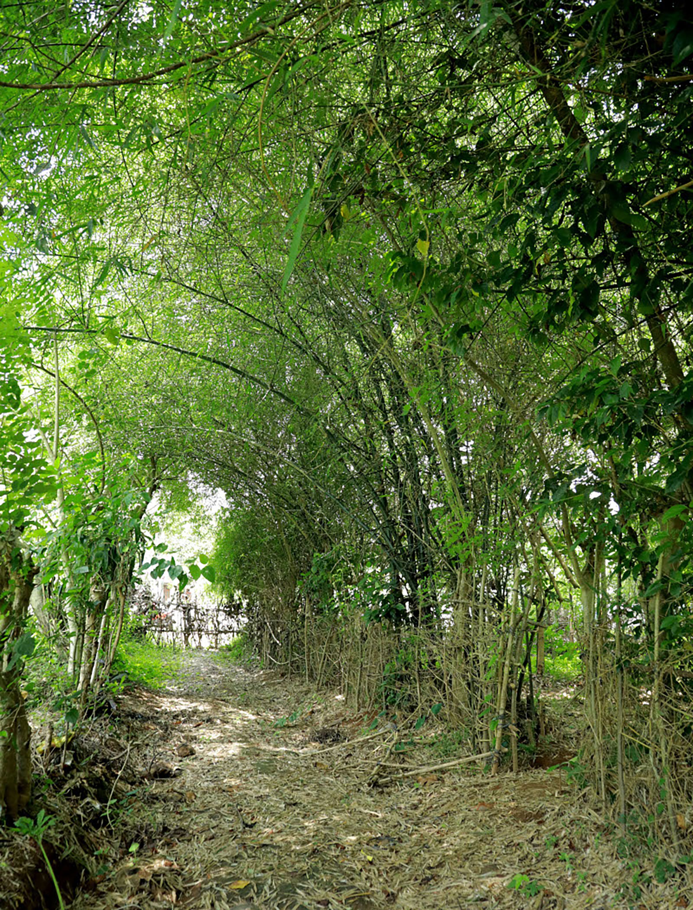 പച്ചത്തുരുത്തുകള്‍ക്ക് മുഖ്യമന്ത്രിയുടെ പുരസ്‌കാരം.