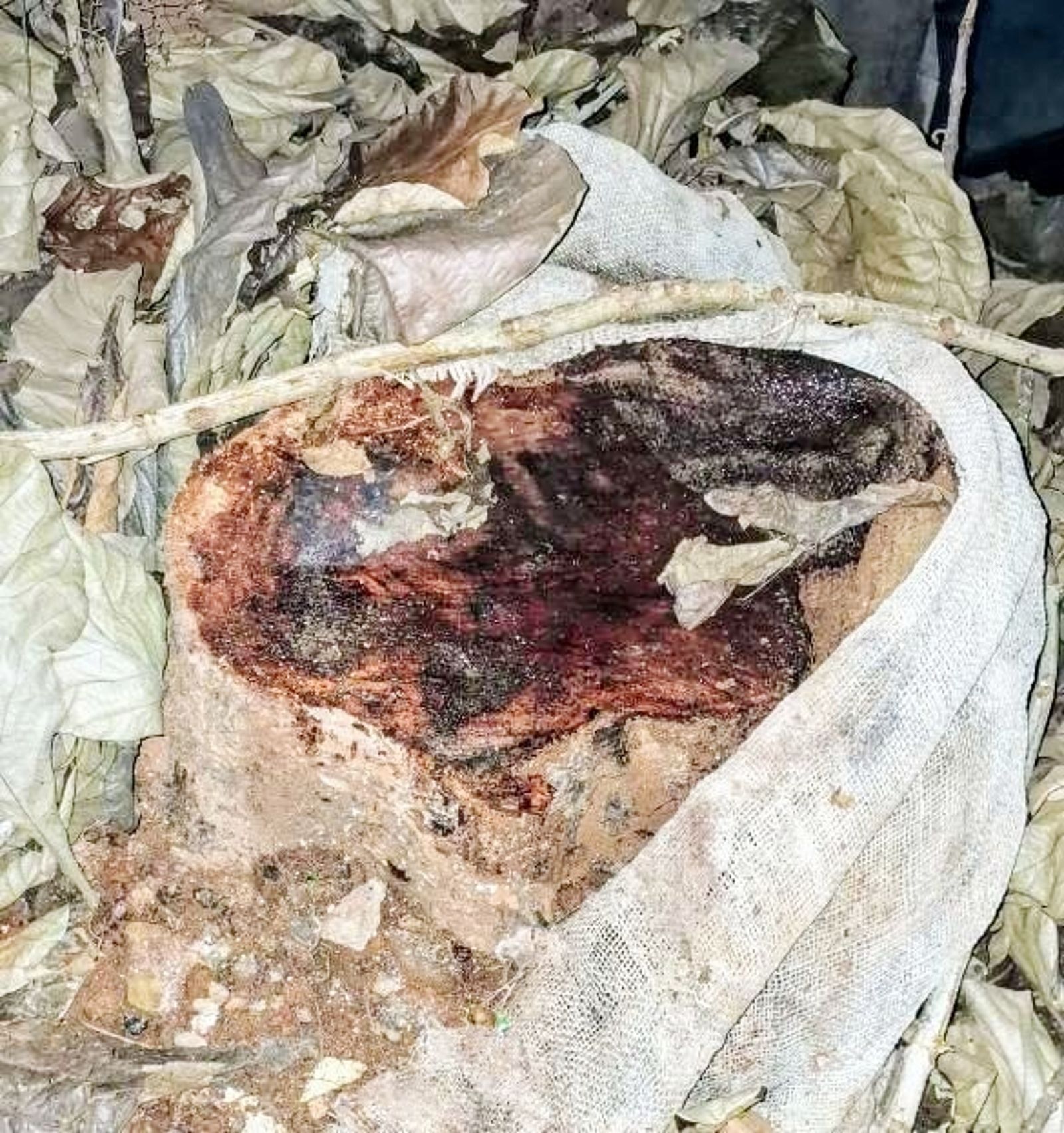 സംസ്ഥാനപാതയിൽ തട്ടാറത്ത്  റോഡരികിലുള്ള തേക്ക് മരം മുറിച്ചശേഷമുള്ള കുറ്റി