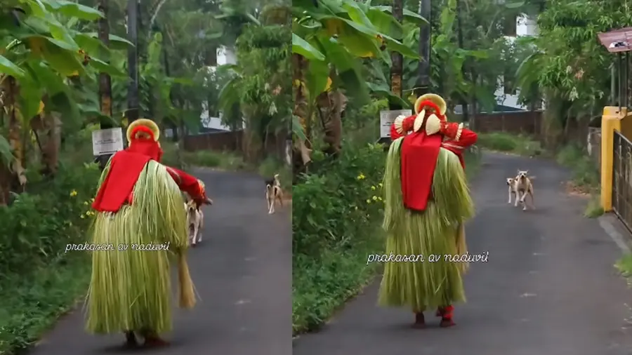 THEYYAM PERFORMER FACES STRAY DOGS