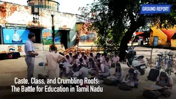 Schools of TN