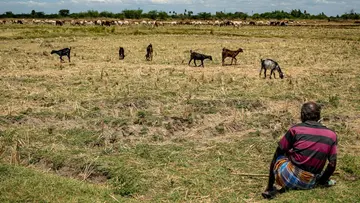 Tamil Nadu