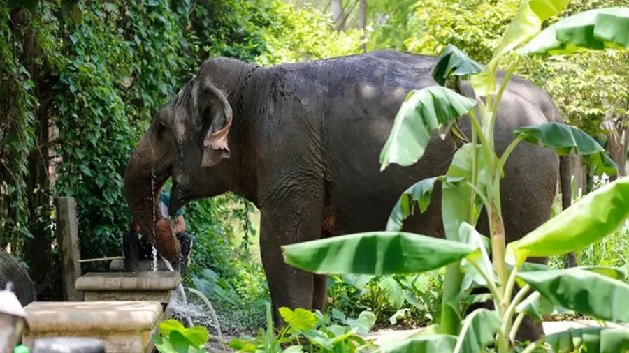 Thailand.jpg