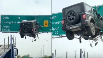 Thar Stuck in Highway Signboard