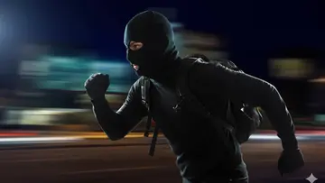 Thief Running Robbery