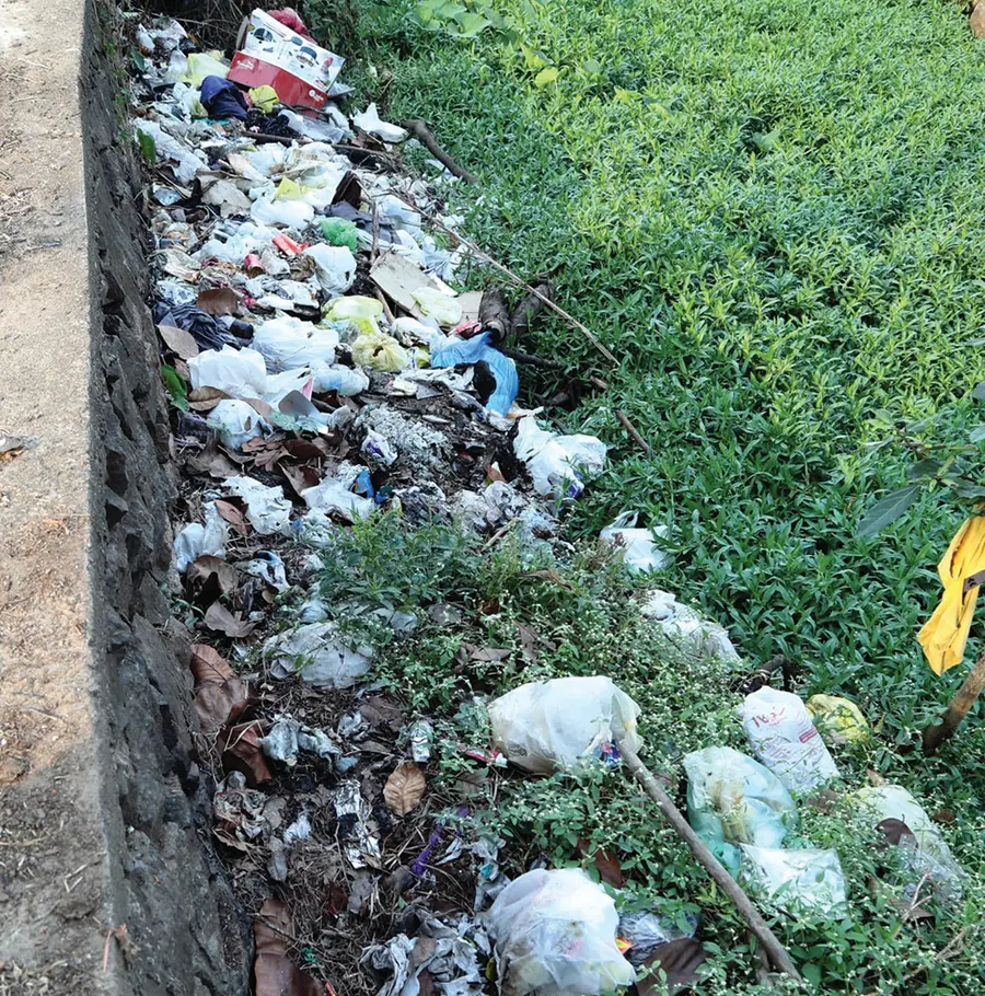 Dumping Waste
