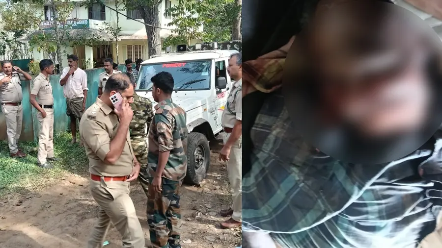 Tiger Attack Pulppally