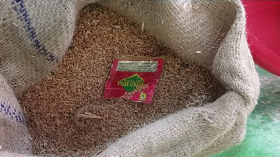 Tobacco Products Discovered Inside Anganwadi Wheat Sacks in Puthussery