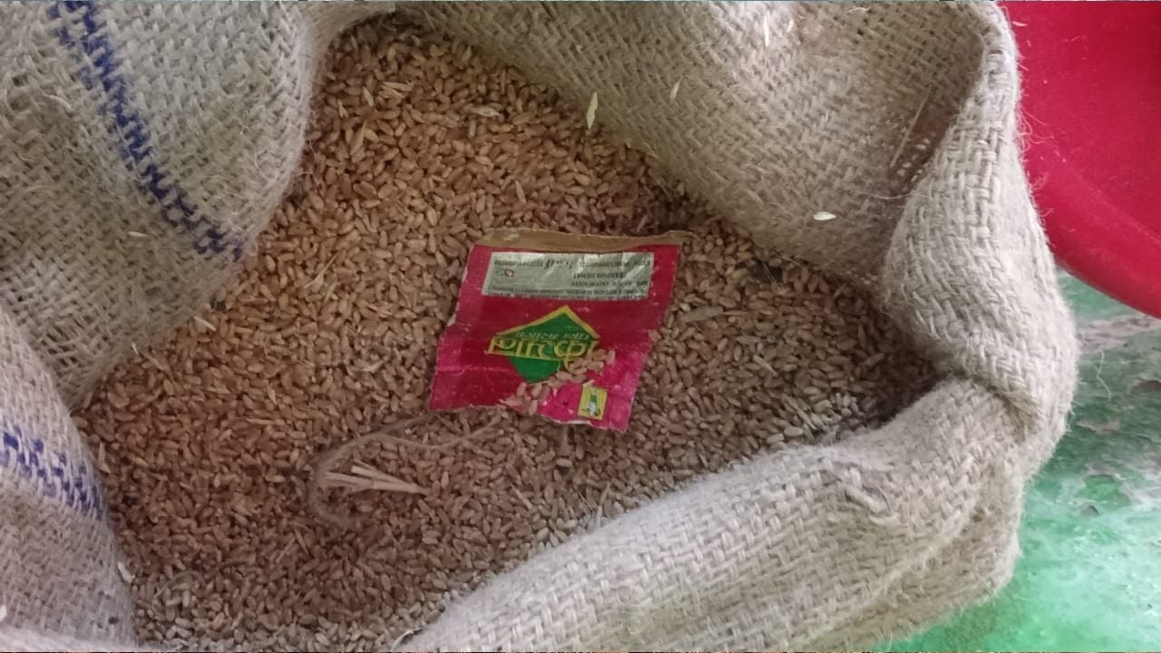 Tobacco Products Discovered Inside Anganwadi Wheat Sacks in Puthussery
