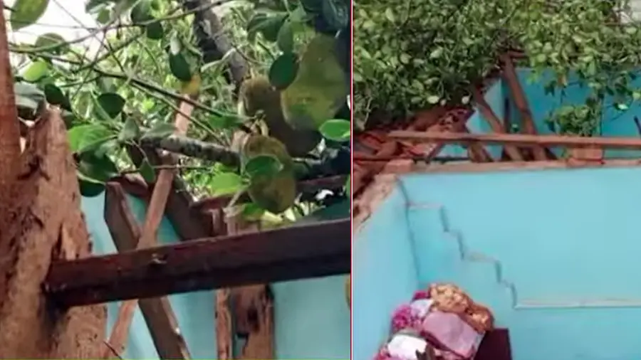 Tree falls on house Kollam,