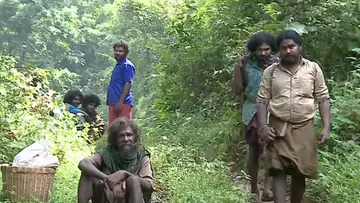 Tribal settlement Nilambur