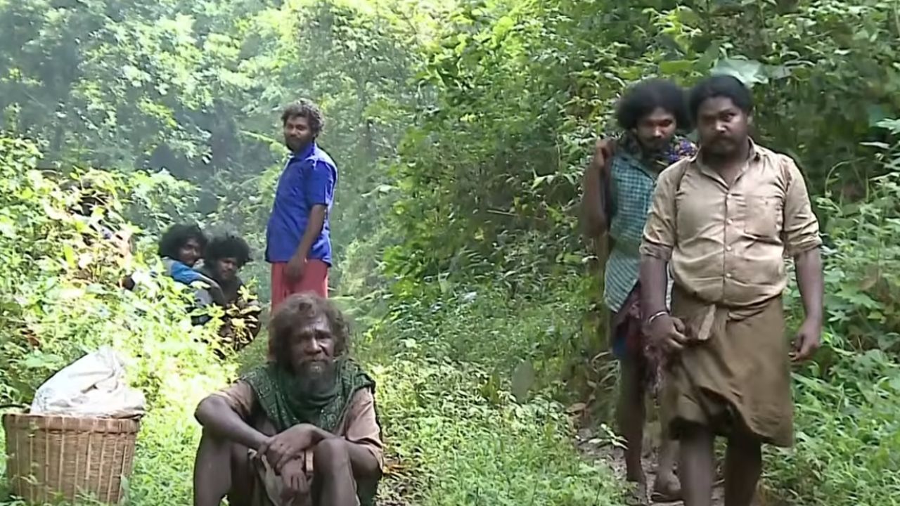 Tribal settlement Nilambur