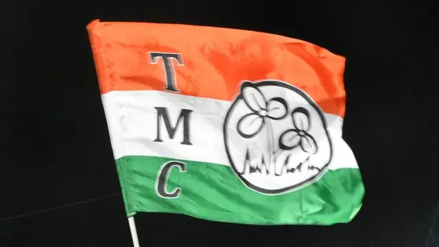 Trinamool Congress TMC Flag