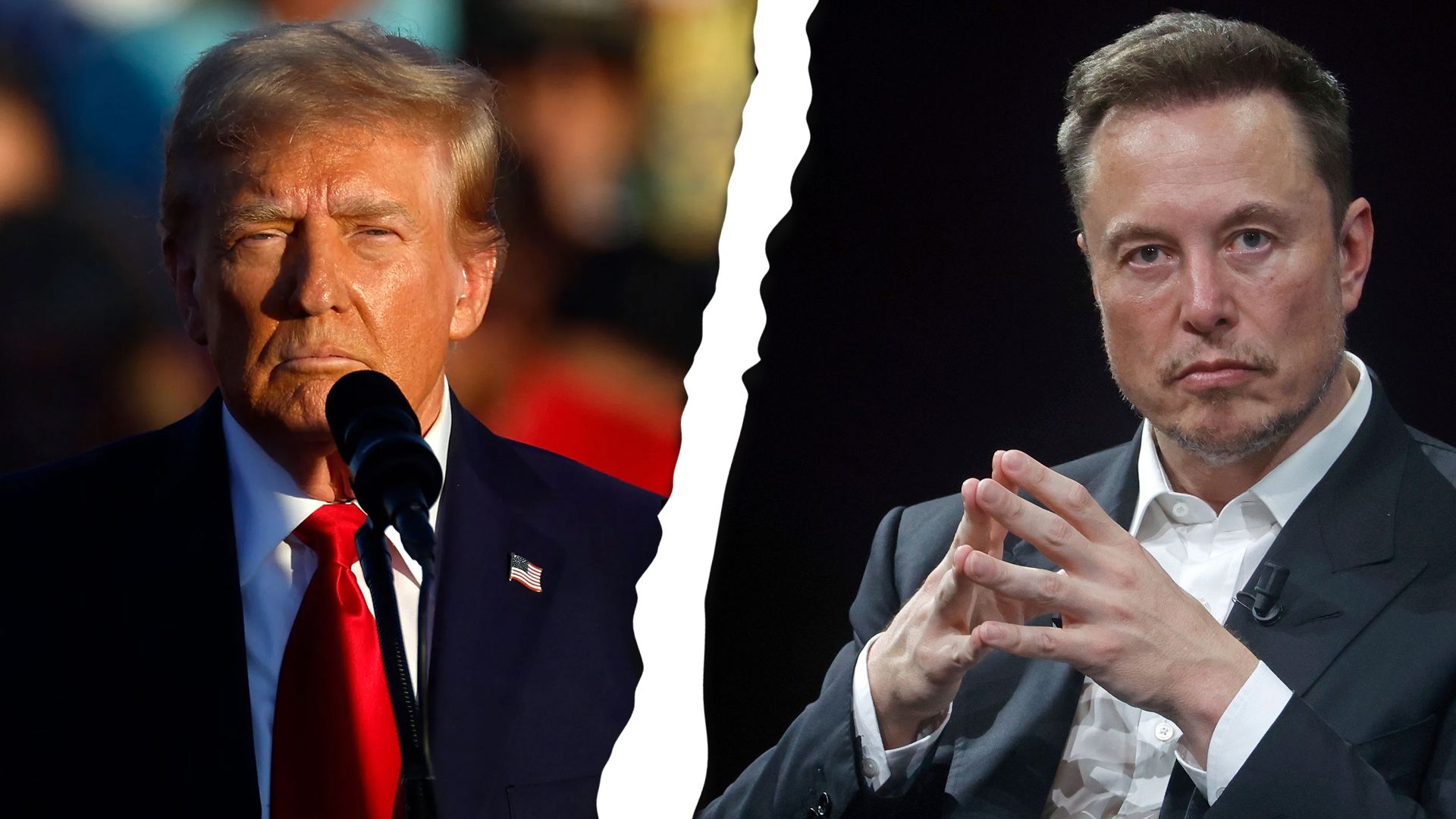 Trump vs Musk