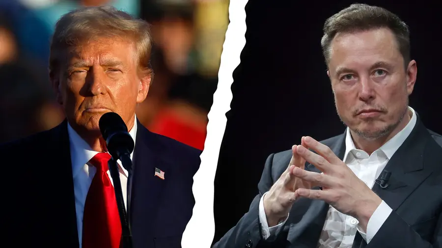 Trump vs Musk