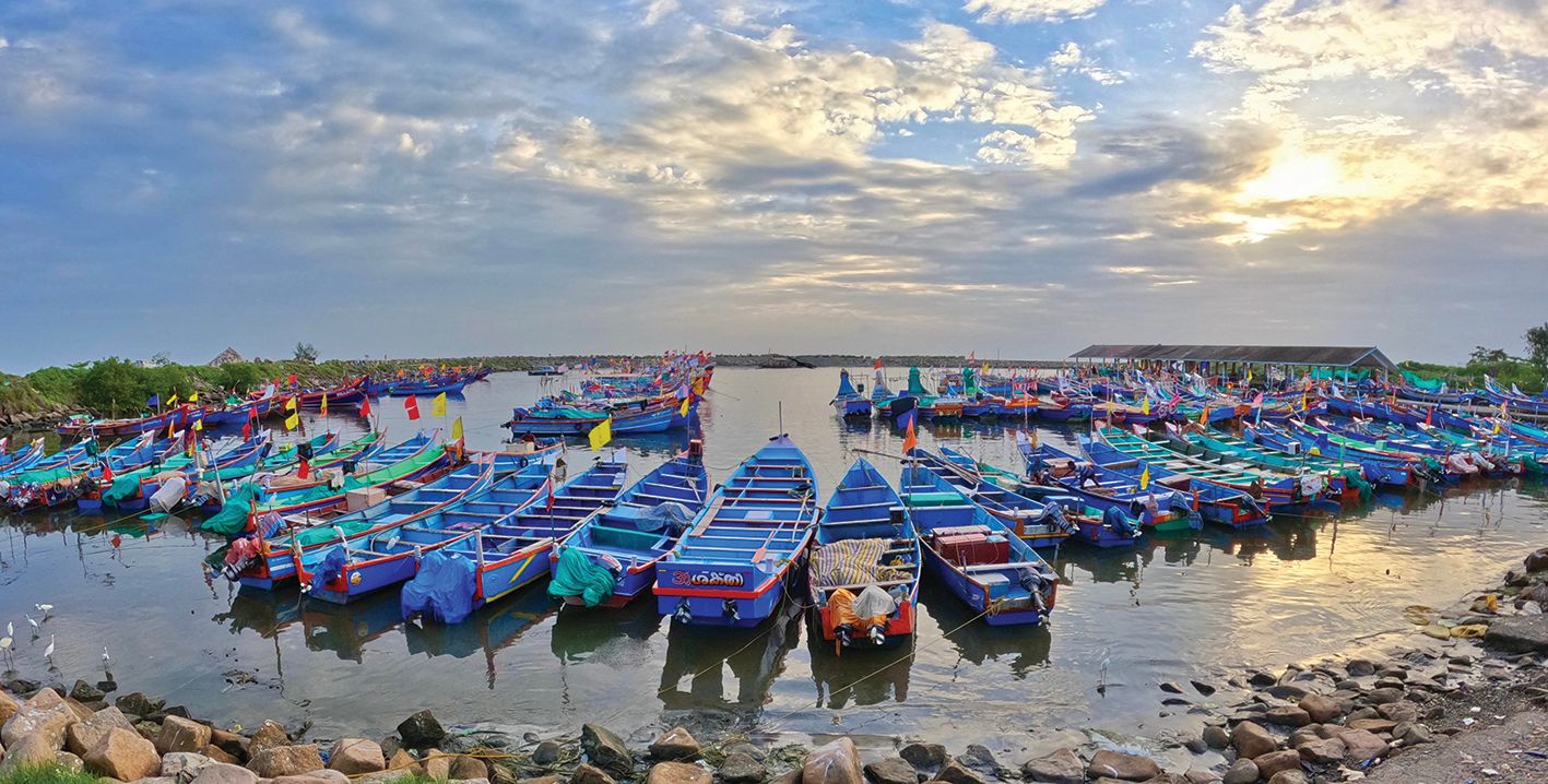 തിങ്കൾ അർധരാത്രി മുതൽ ട്രോളിങ് നിരോധനം തുടങ്ങുന്നതിന്റെ ഭാഗമായി തോട്ടപ്പള്ളി ഹാർബറിൽ കെട്ടിയിട്ട മീൻപിടിത്ത ബോട്ടുകൾ