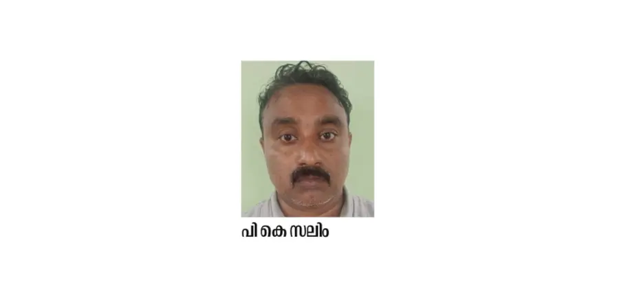 പി കെ സലിം