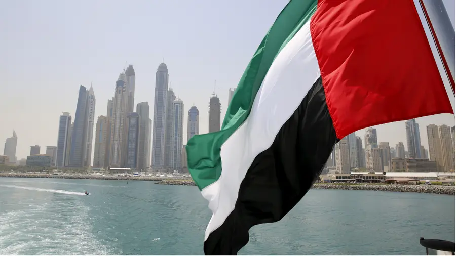 UAE drone attack