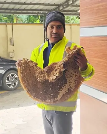 T. A. Ummerali Shihab, a native of Edappetta, started beekeeping out of curiosity while studying in the sixth grade.