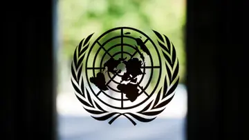 UN Security Council