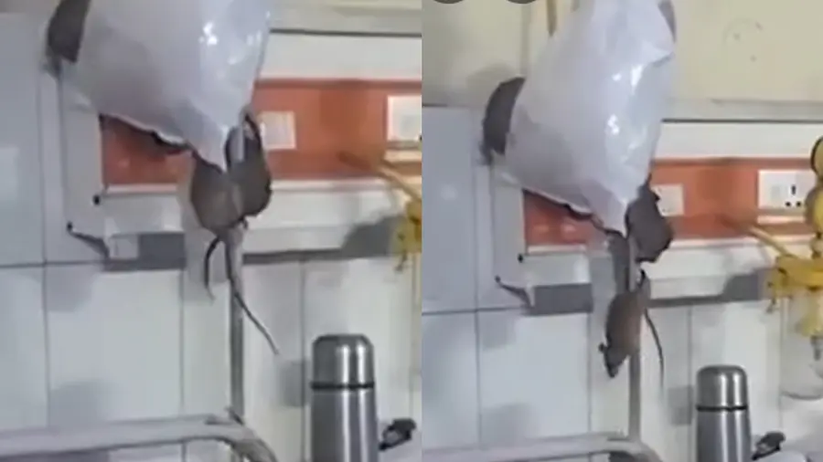UP Hospitals.jpg