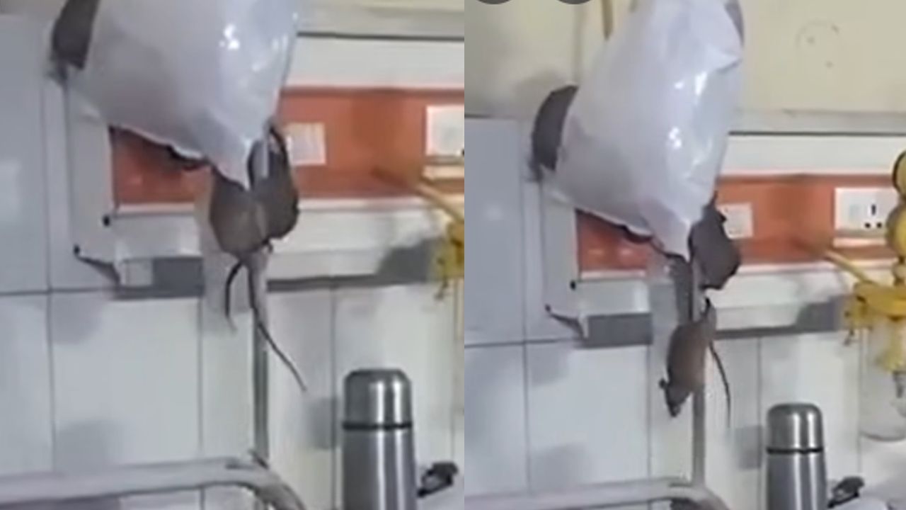 UP Hospitals.jpg