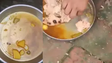 UP School.jpg