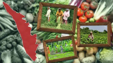 kerala 's agriculture