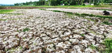  തീരദേശ ജനത