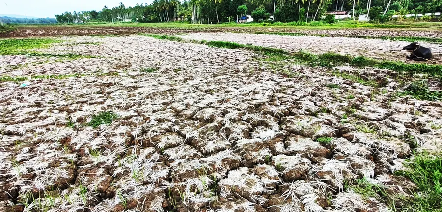 തീരദേശ ജനത