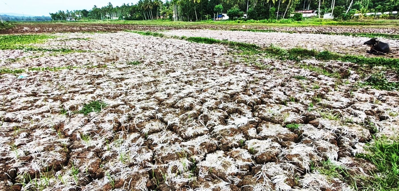  തീരദേശ ജനത