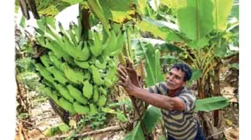 VAZHA KARSHAKAR