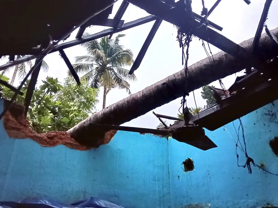മൂർക്കനാട് പുറക്കോട്ടുകുന്നിൽ കലിക്കപറമ്പിൽ ദിജുവിന്റെ വീട് തെങ്ങ് വീണ് തകർന്നനിലയിൽ