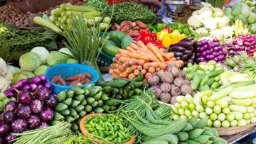 VEGITABLES
