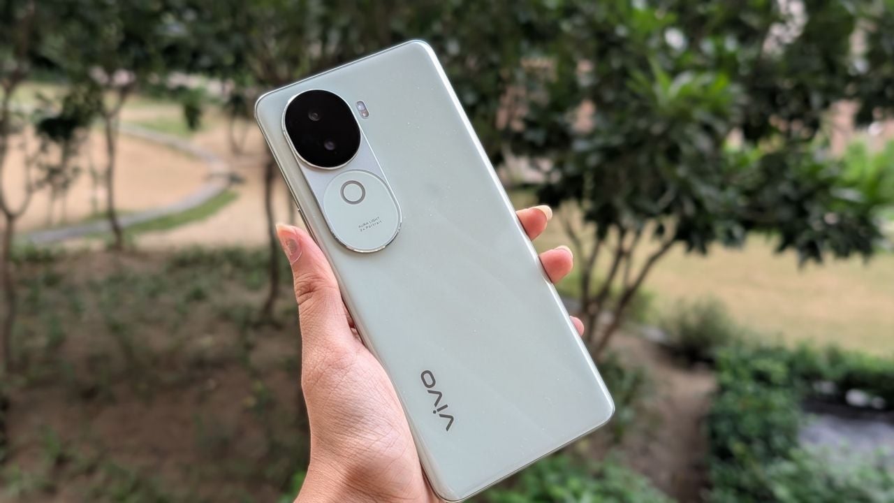 VIVO.jpg