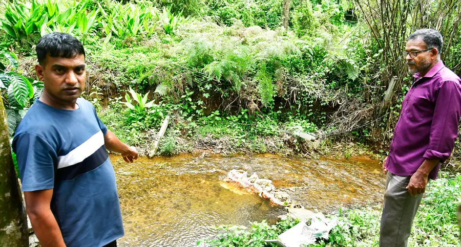 റിസോർട്ട് നിർമാണം