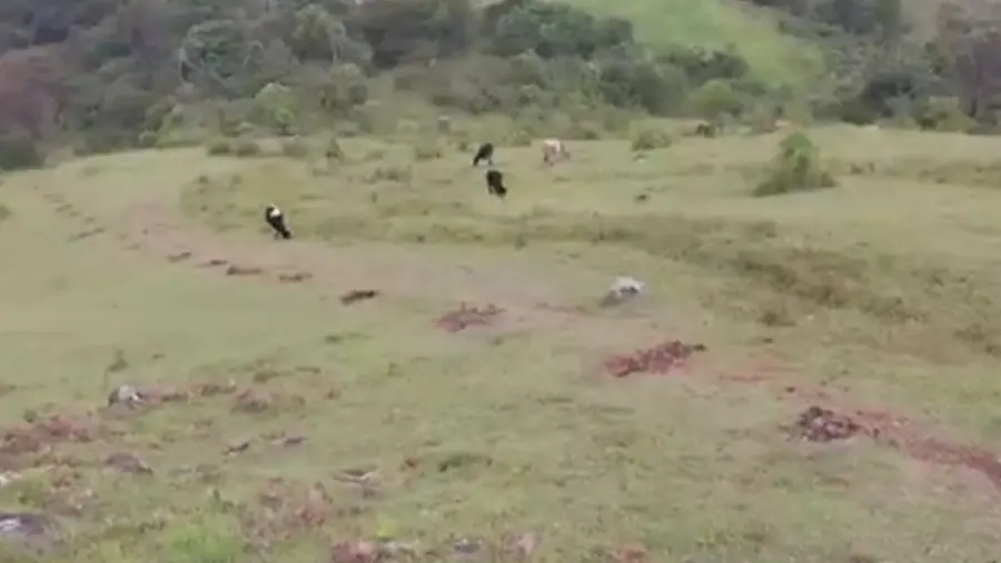 Vagamon government land encroachment