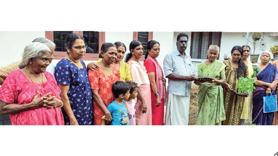 kanjoor