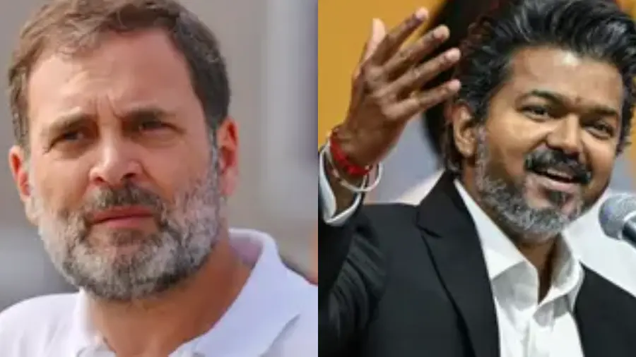 Rahul Gadnhi_Vijay