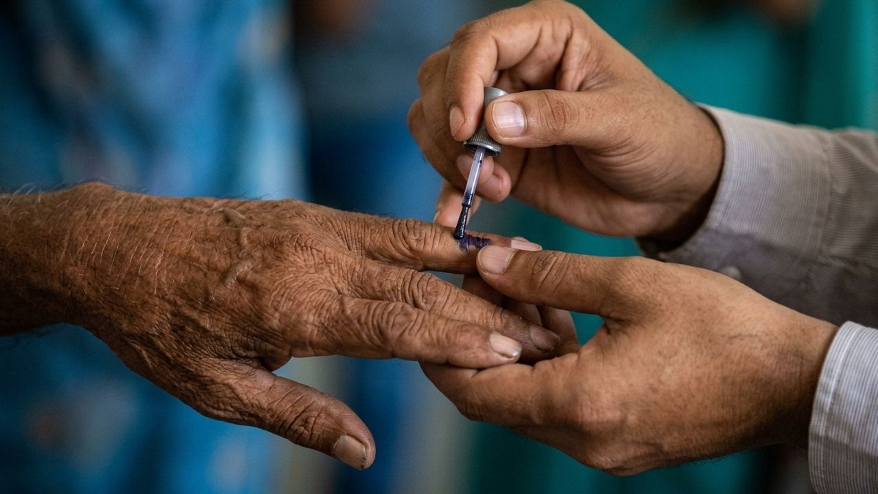 Voting