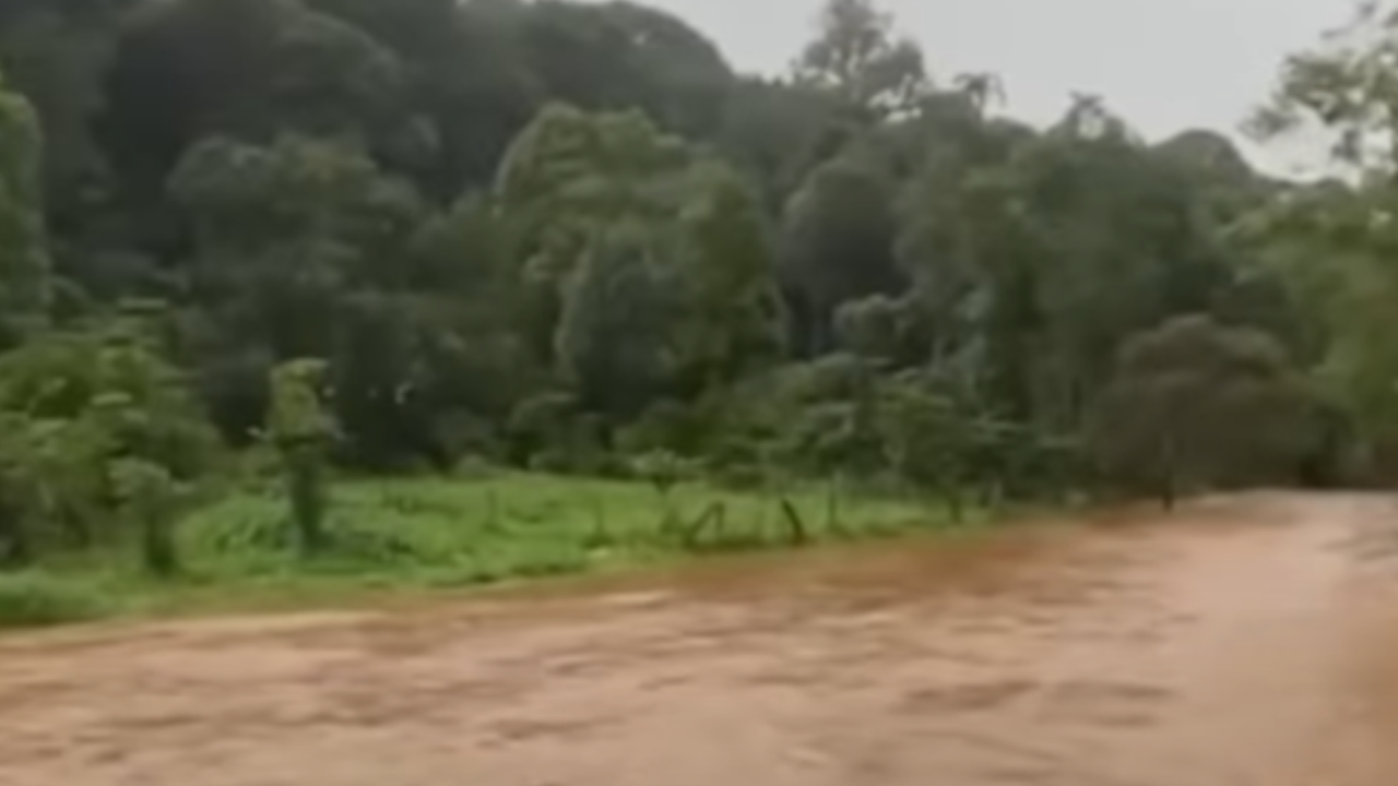 WAYANAD