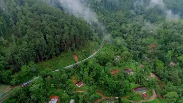 WAYANAD