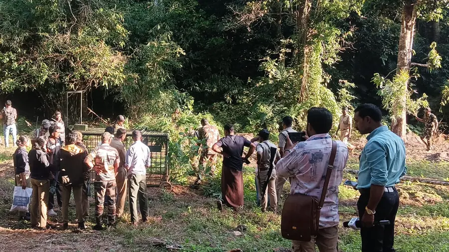 WAYANAD TIGER